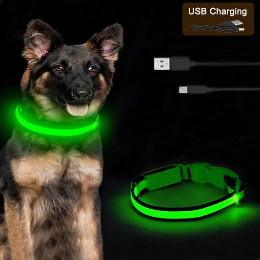 COOYOMOOCN Luminous LED USB Dog Collar With Quick Release