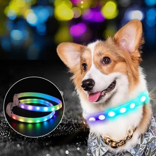 Hign-concerned USB Rechargeable LED Pet Collar With High-Visibility Safety Features