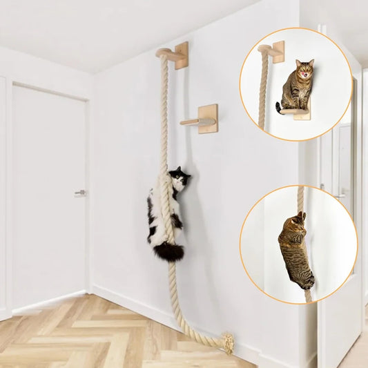 PETRAVEL Cat Climbing Shelf And Rope Tree Wall Mounted Scratching Post For Indoor Cats